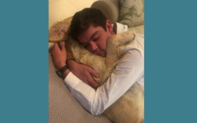 The Healing Power of Sleep Especially after Trauma!